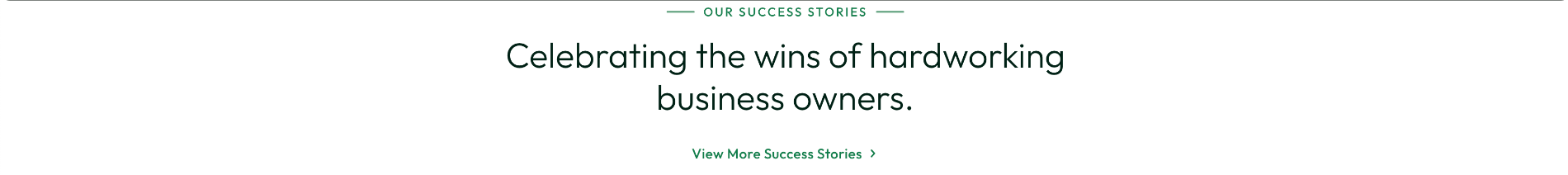 Crop of the launched homepage customer evidence section, headed celebrating the wins of hardworking business owners, with a link to more success stories.